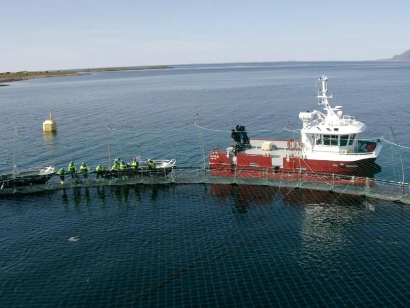 Rømmingssikringskurs