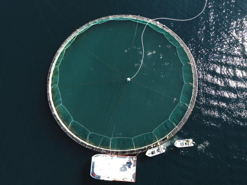 Fiskevelferdskurs - Sjøbasert