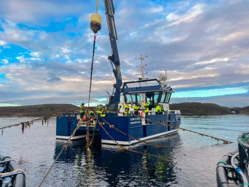 D6 - tilleggsutdanning: Løfteoperasjoner