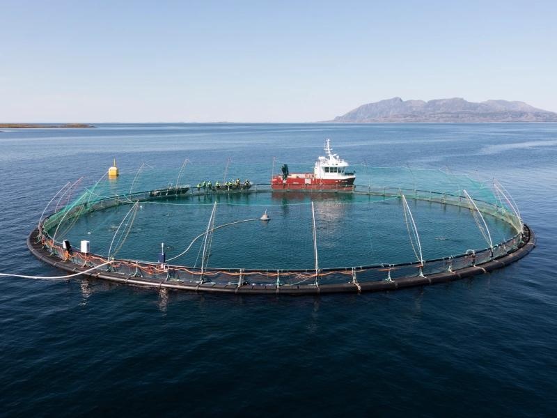 Akvakultur - en grunnleggende introduksjon