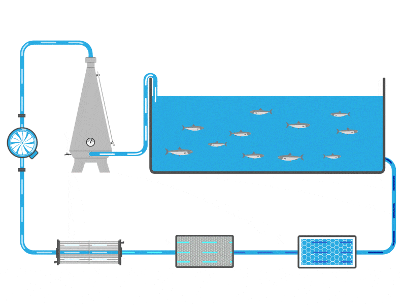 Kurs i vannkvalitet og RAS-teknologi for smoltproduksjon